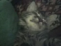 DSC-0028.webp