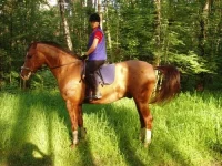 x_89ccb494.webp
