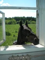 x_9b0b3071.webp