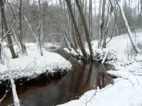SAM_0366.webp