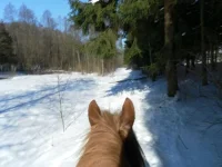 SAM_0527.webp