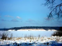SAM_0520.webp