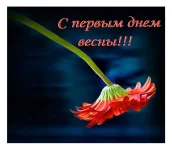 CRW_059831.webp