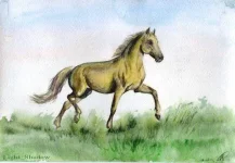 рис005.webp