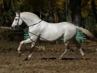 Остров2.webp