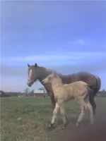 с другом.webp