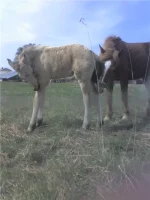 с другом2.webp