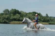 По Дону!!!.webp