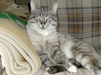 SAM_0008.webp