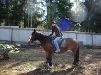 x_bce043a8[1].webp