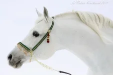 гнев3.webp