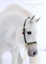 гнев2.webp