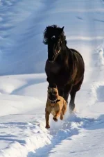 x_d581535f[1].webp