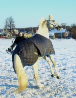 x_e0723d2f.webp