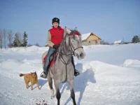 x_56687f5d.webp