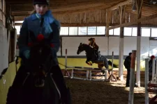 y_96d84ab1.webp