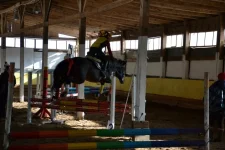 y_162f065d.webp