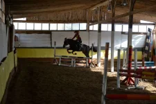y_d9dac082.webp