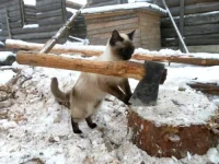 SAM_0104.webp