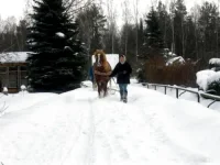 SAM_0267.webp