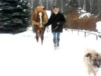SAM_0269.webp