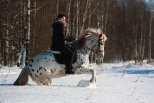 x_79117aaa.webp