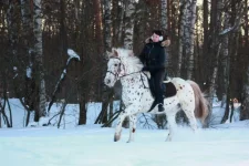 x_befc149e.webp