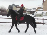 x_a8e9d993.webp