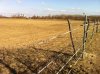 IMG_1552.JPG