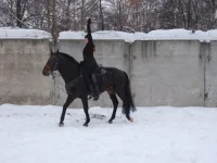 DSCF5791.webp