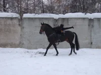 DSCF5798.webp