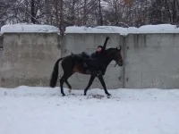 DSCF5802.webp
