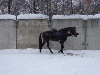 DSCF5804.webp