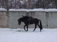 DSCF5806.webp