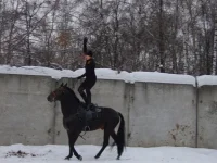 DSCF5811.webp