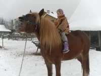 SAM_0172.webp