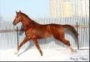 m_8274944d.webp