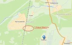 маргусы.webp