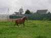 Мачо 075.jpg