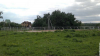 ksk_black_horse93609_785_303.png
