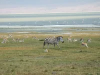 DSCF4252.webp
