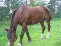 x_a09142f1.webp
