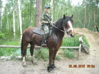 хорват.webp