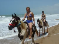 DSCF1559.webp