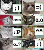 -).webp