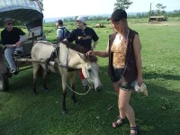 DSCF1347.webp