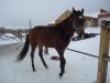 DSC00976.JPG