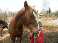 SAM_0675.webp