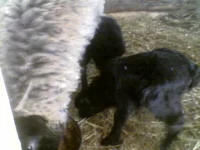 Photo0203.webp