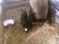 Photo0200.webp